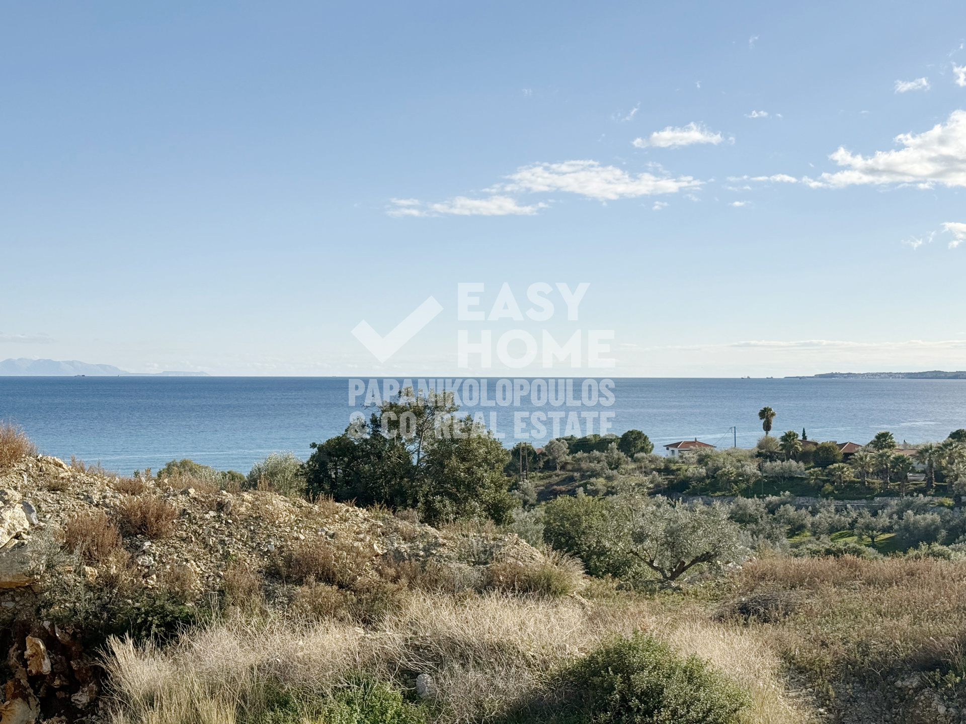 Οικόπεδο – 10472 τ.μ. – Χελωναριά – Πεταλίδι