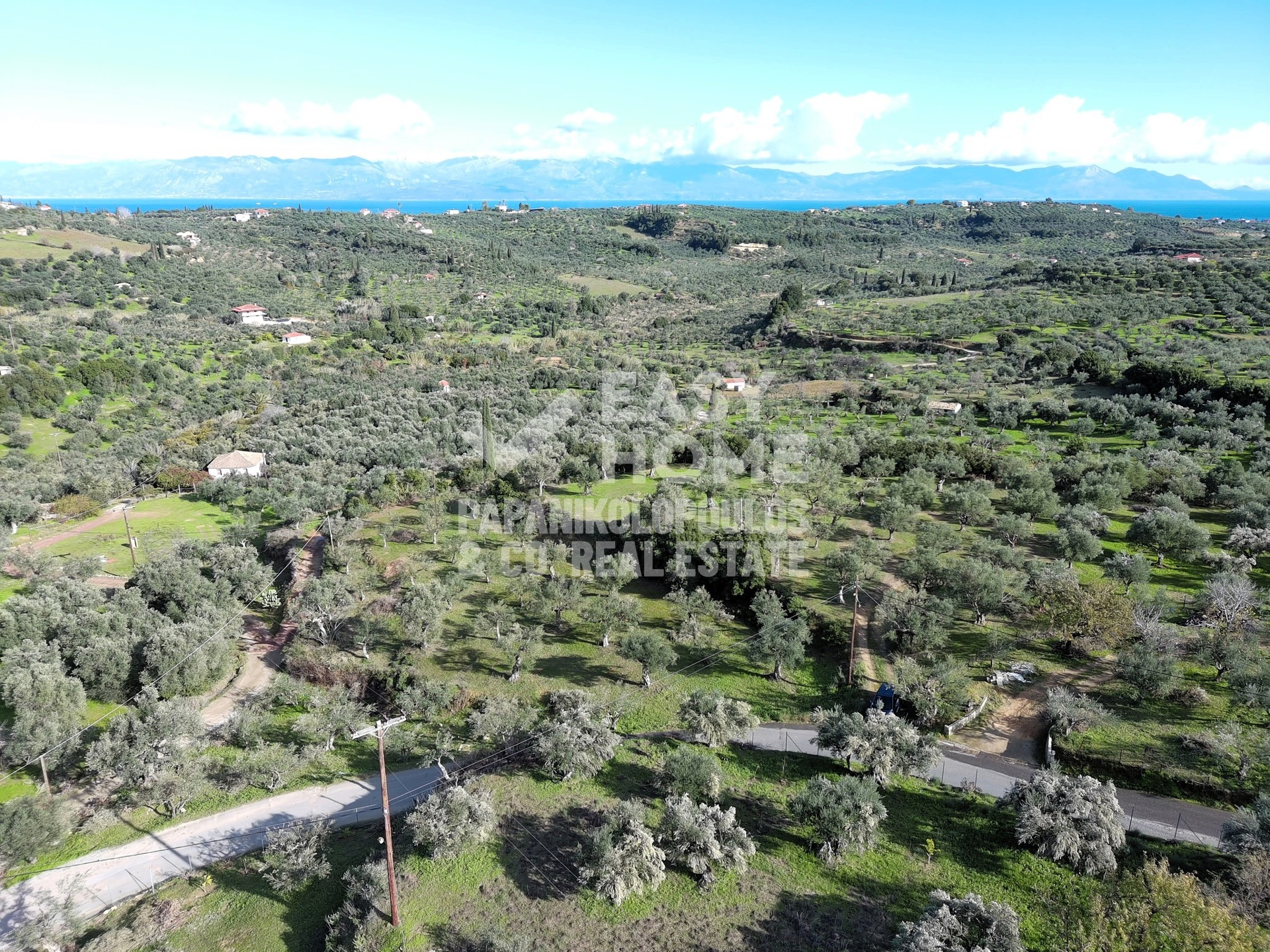 Οικόπεδο – 5963 τ.μ. – Άγιος Ισίδωρος – Κορώνη