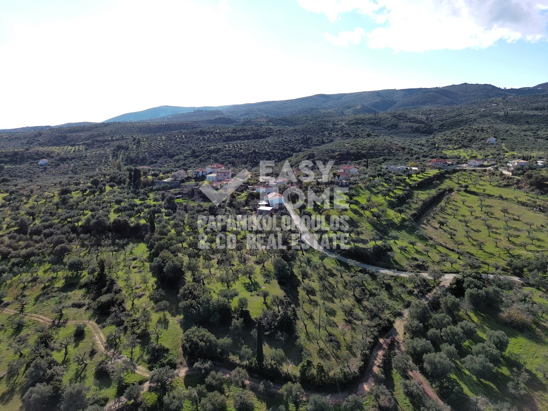 Οικόπεδο – 5963 τ.μ. – Άγιος Ισίδωρος – Κορώνη