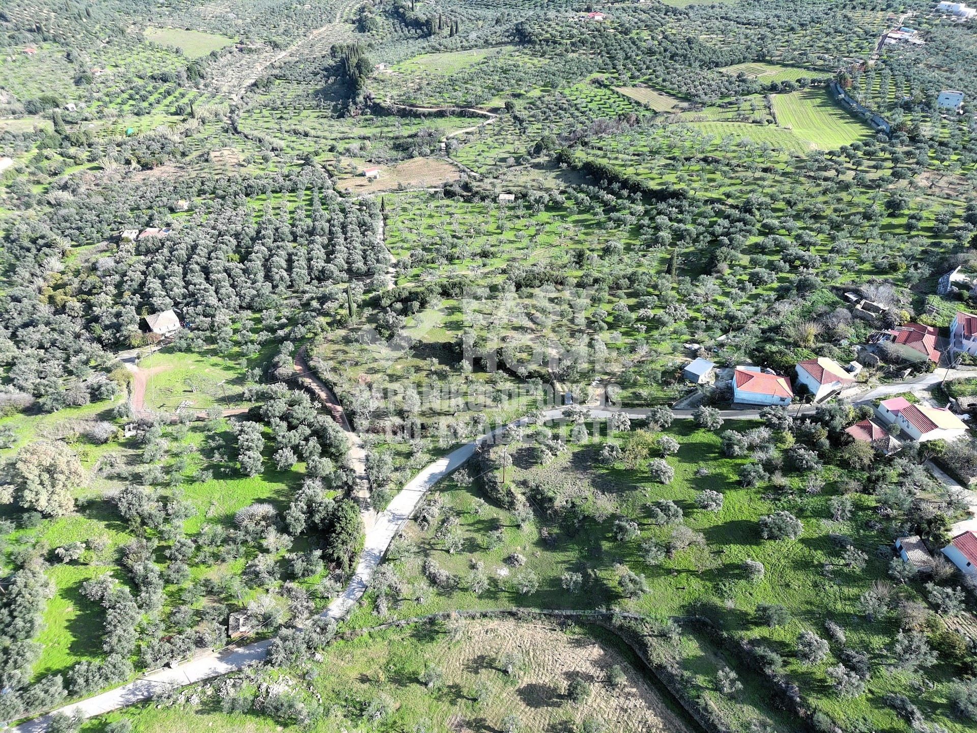Οικόπεδο – 5963 τ.μ. – Άγιος Ισίδωρος – Κορώνη