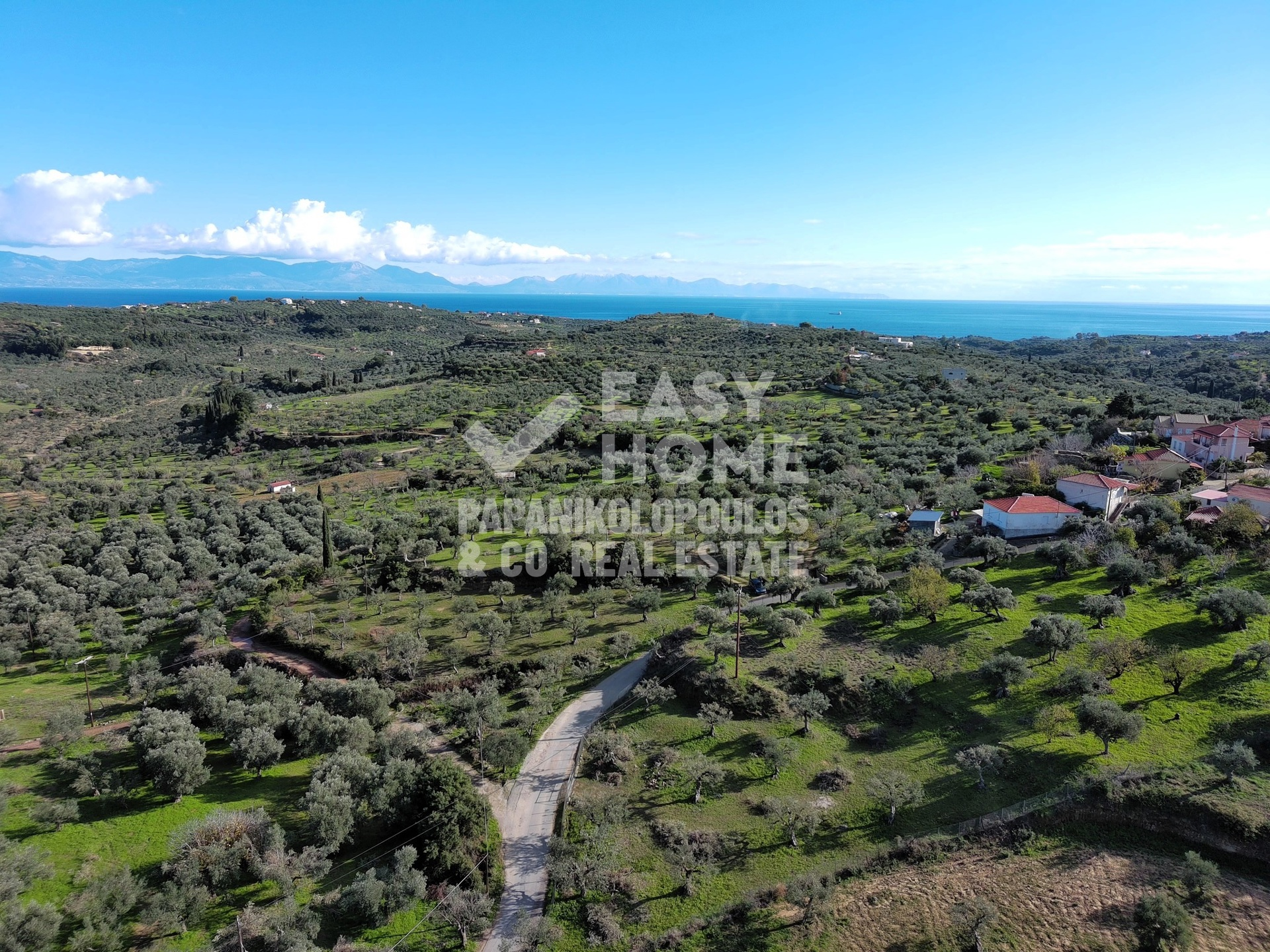 Οικόπεδο – 5963 τ.μ. – Άγιος Ισίδωρος – Κορώνη