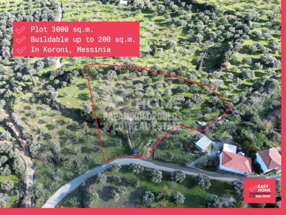 Οικόπεδο – 2870 τ.μ. – Άγιος Ισίδωρος – Κορώνη