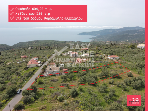 Οικόπεδο – 604,92 τ.μ. – Εξωχώρι – Λεύκτρος