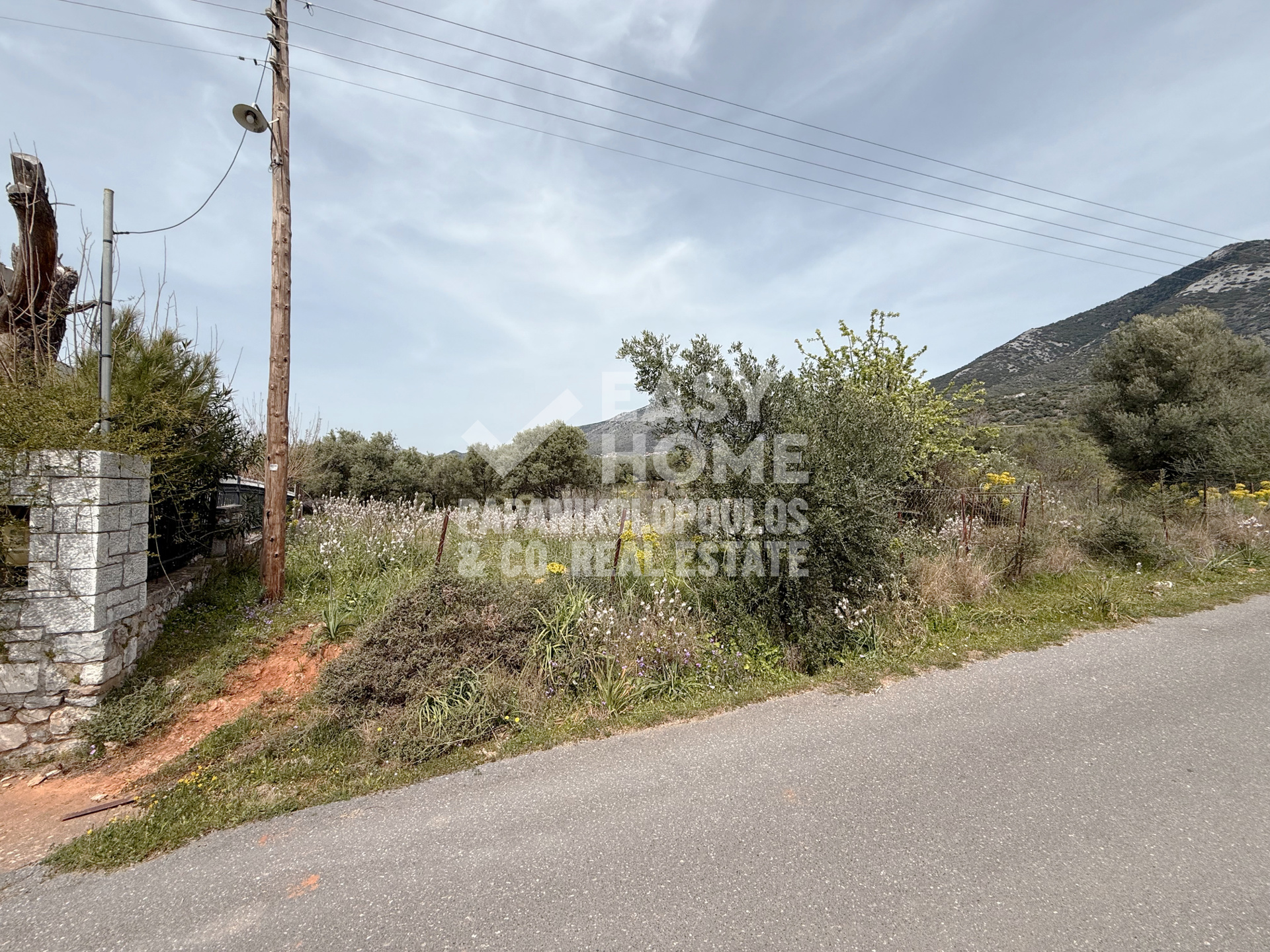 Οικόπεδο – 604,92 τ.μ. – Εξωχώρι – Λεύκτρος