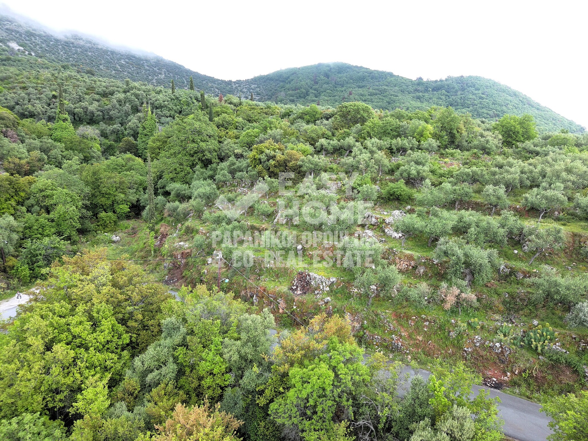 Οικόπεδο – 2463 τ.μ. – Εξωχώρι – Λεύκτρος