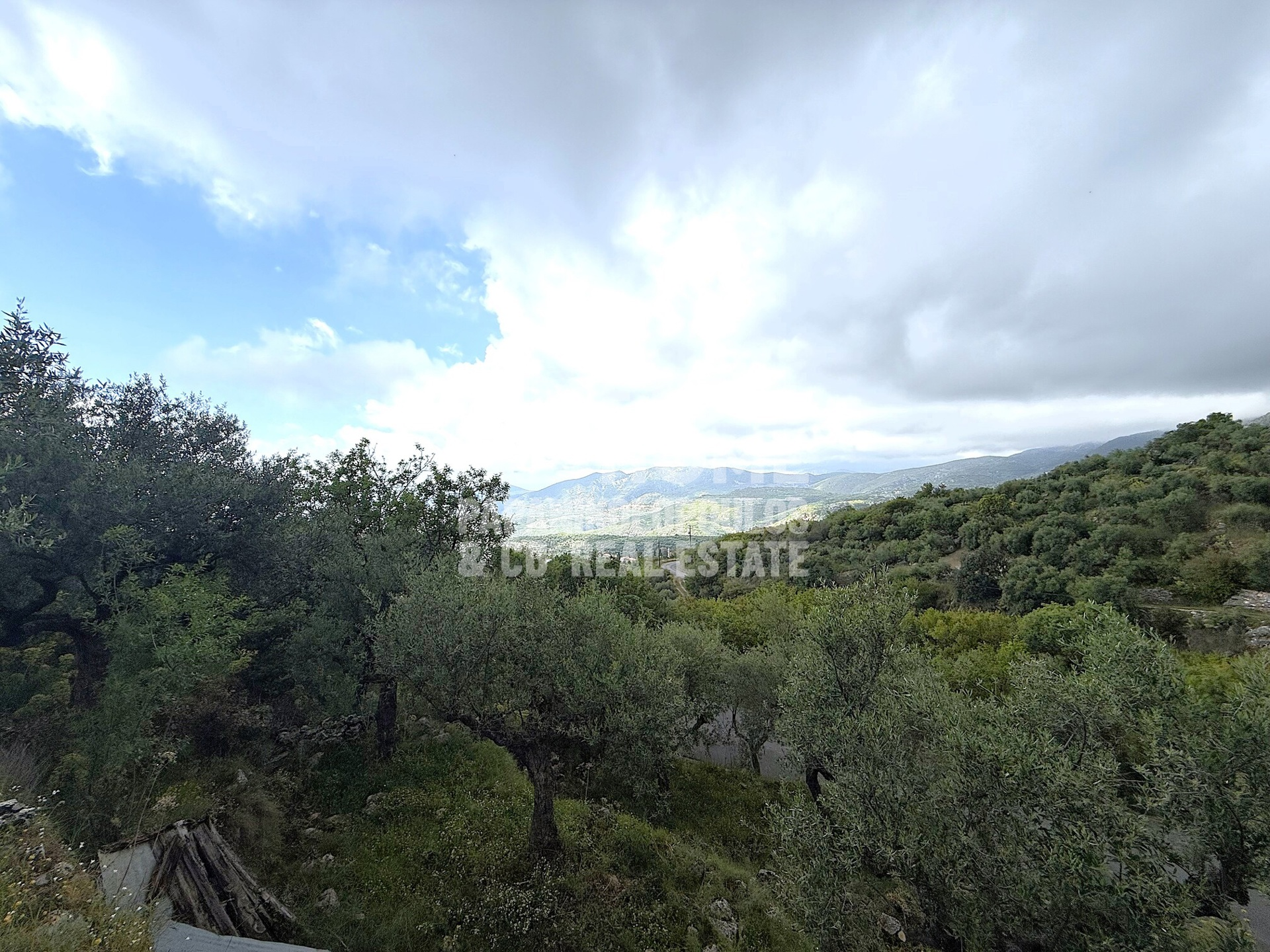 Οικόπεδο – 2463 τ.μ. – Εξωχώρι – Λεύκτρος