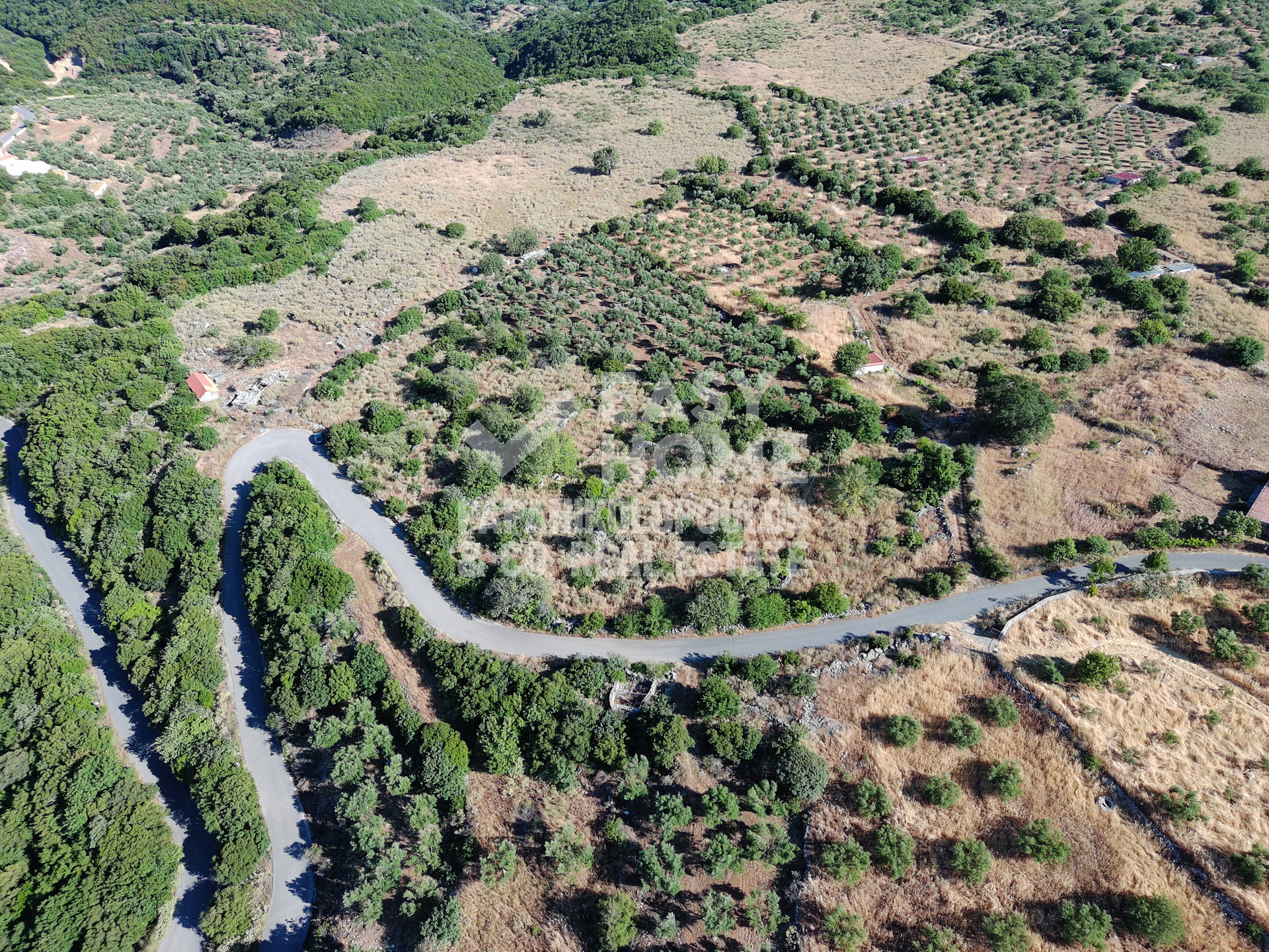 Οικόπεδο – 8021 τ.μ. – Αγνάντι – Πεταλίδι
