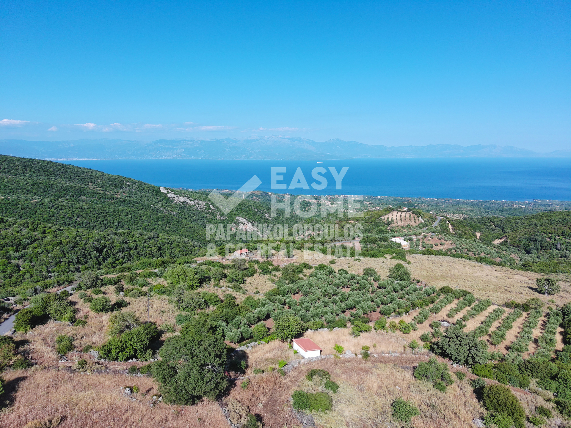 Οικόπεδο – 8021 τ.μ. – Αγνάντι – Πεταλίδι