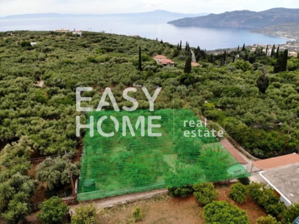 Οικόπεδο – 963 τ.μ. – Προάστιο – Λεύκτρος