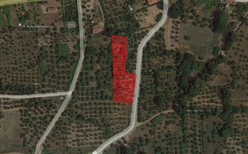 800