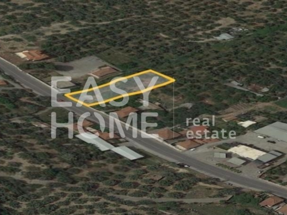 Οικόπεδο – 1210 τ.μ. – Άνθεια – Θουρία