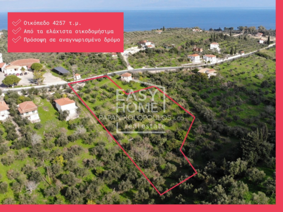 Οικόπεδο – 4257 τ.μ. – Κέντρο – Κορώνη