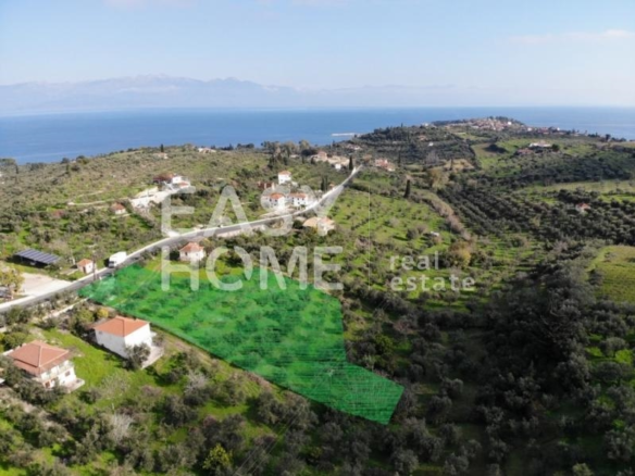 Οικόπεδο – 4257 τ.μ. – Κέντρο – Κορώνη