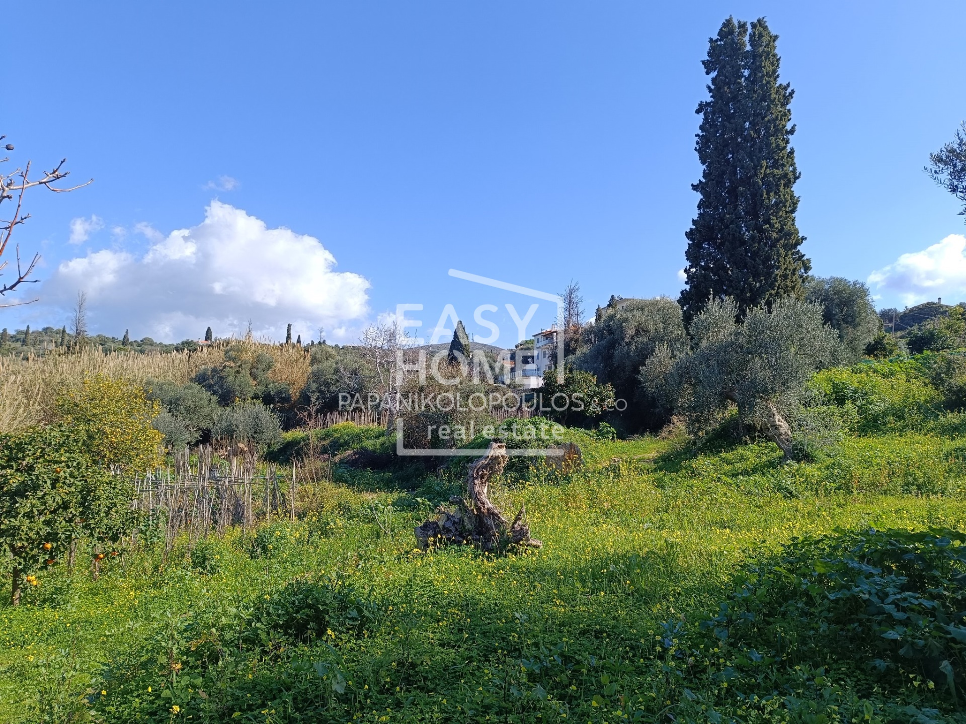 Οικόπεδο – 1550 τ.μ. – Ακριτοχώρι – Κορώνη