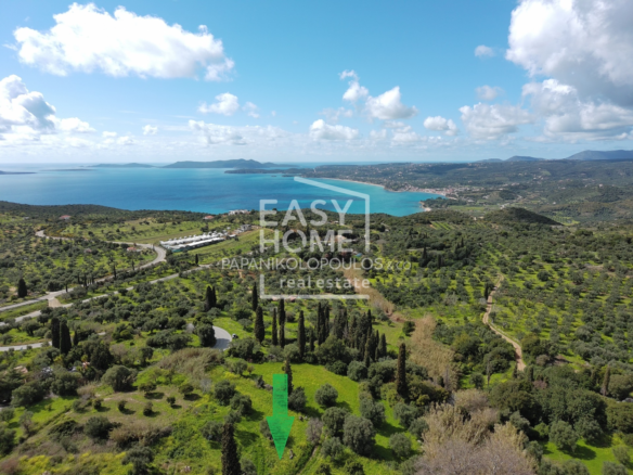 Οικόπεδο – 1550 τ.μ. – Ακριτοχώρι – Κορώνη