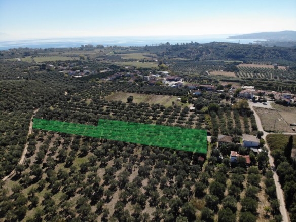 Οικόπεδο – 4600 τ.μ. – Βελίκα – Μεσσήνη
