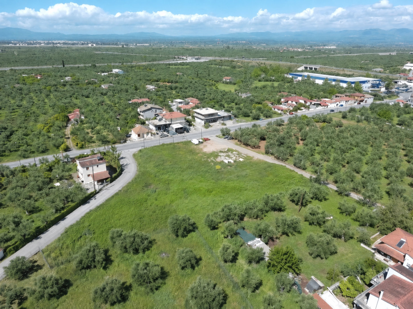 Land Plot – 1505 m² – Sperchogeia – Kalamata