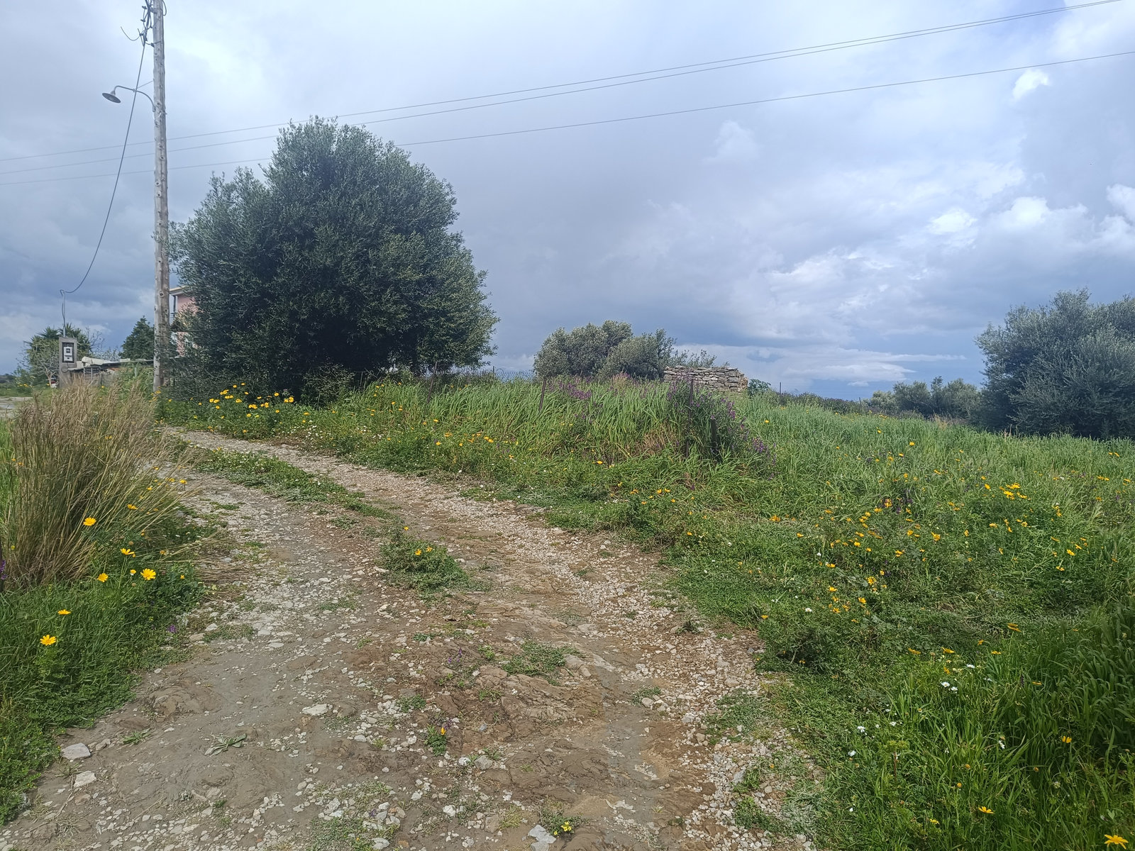 dirt-road-access-building-plot-vasilitsi-id2344049.jpg Χώμα δρόμου πρόσβασης σε οικόπεδο στην Βασιλίτσα