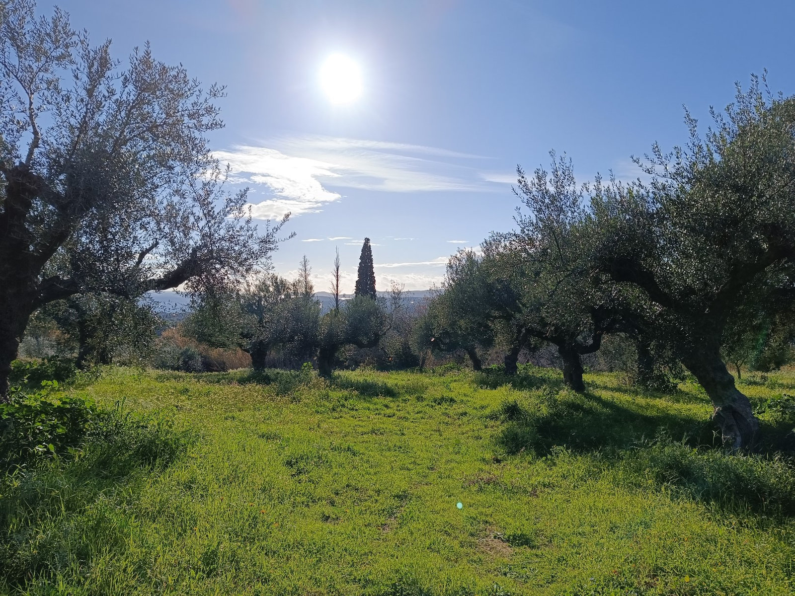 elevated-view-plot-boundaries-lachanada-id935376.jpg Αεροφωτογραφία με όρια οικοπέδου στη Λαχανάδα