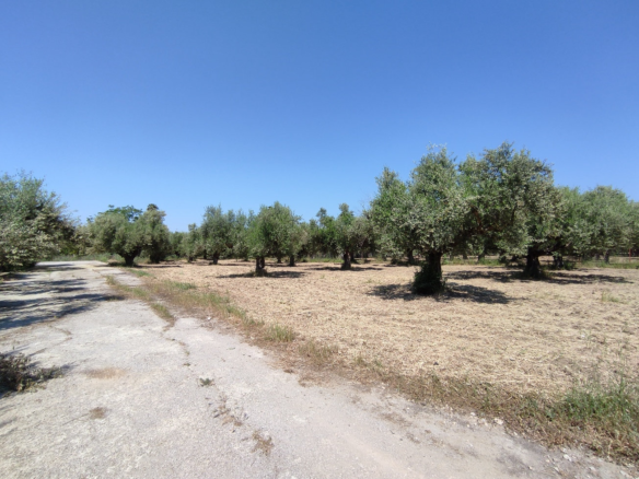 Land Plot – 500 m² – Antikalamos – Kalamata