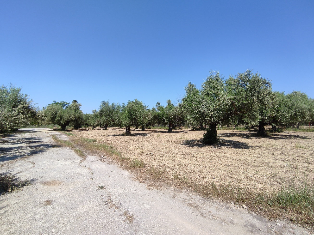 Land Plot – 500 m² – Antikalamos – Kalamata