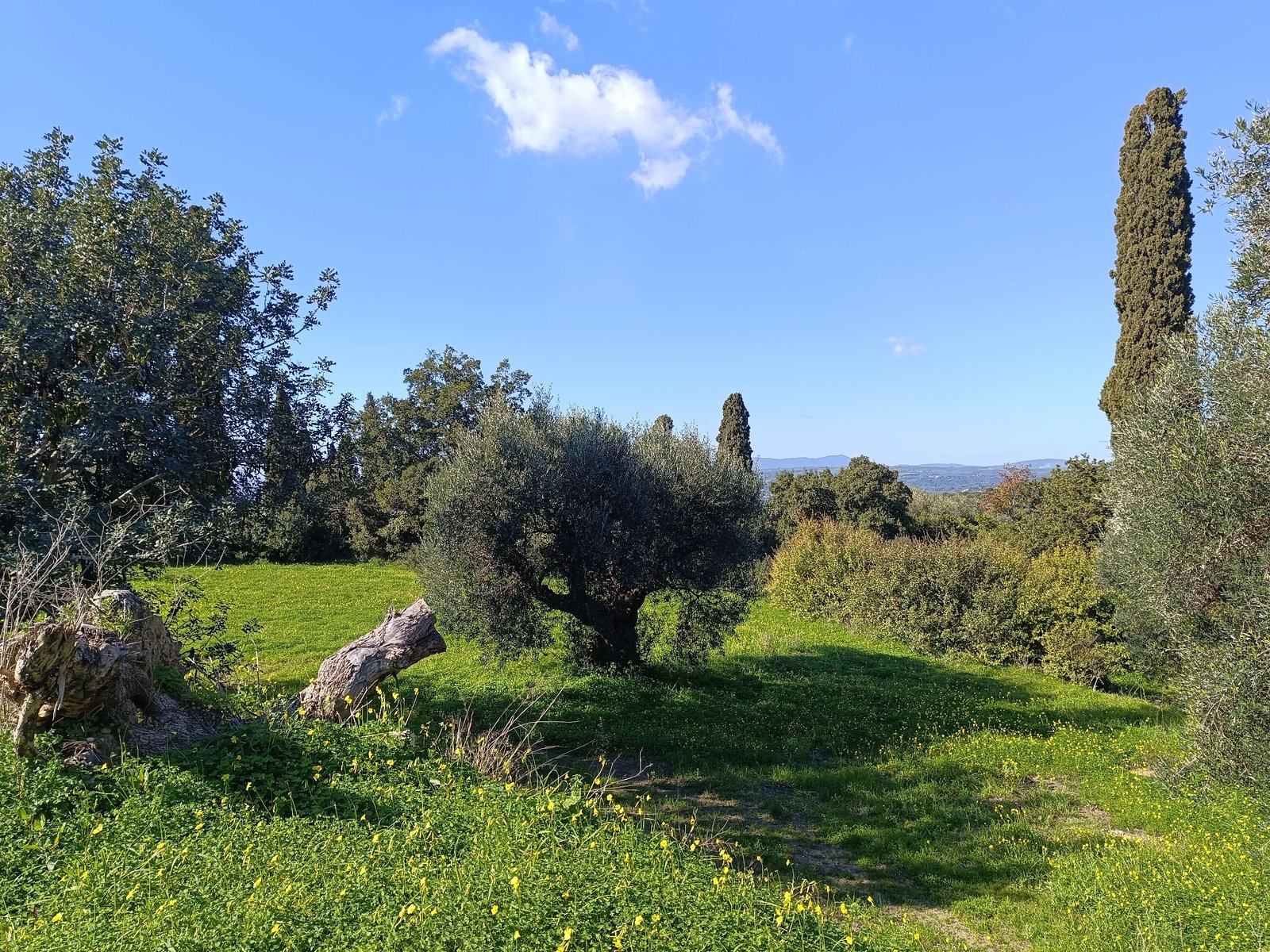 green-plot-akritochori-natural-setting-id764760.jpg Οικόπεδο – 1550 τ.μ. – Ακριτοχώρι – Κορώνη