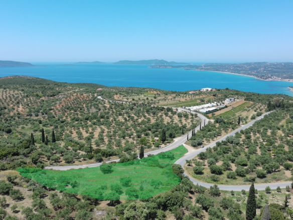 Οριοθετημένα οικόπεδα με θέα στη θάλασσα στο Λούτσα