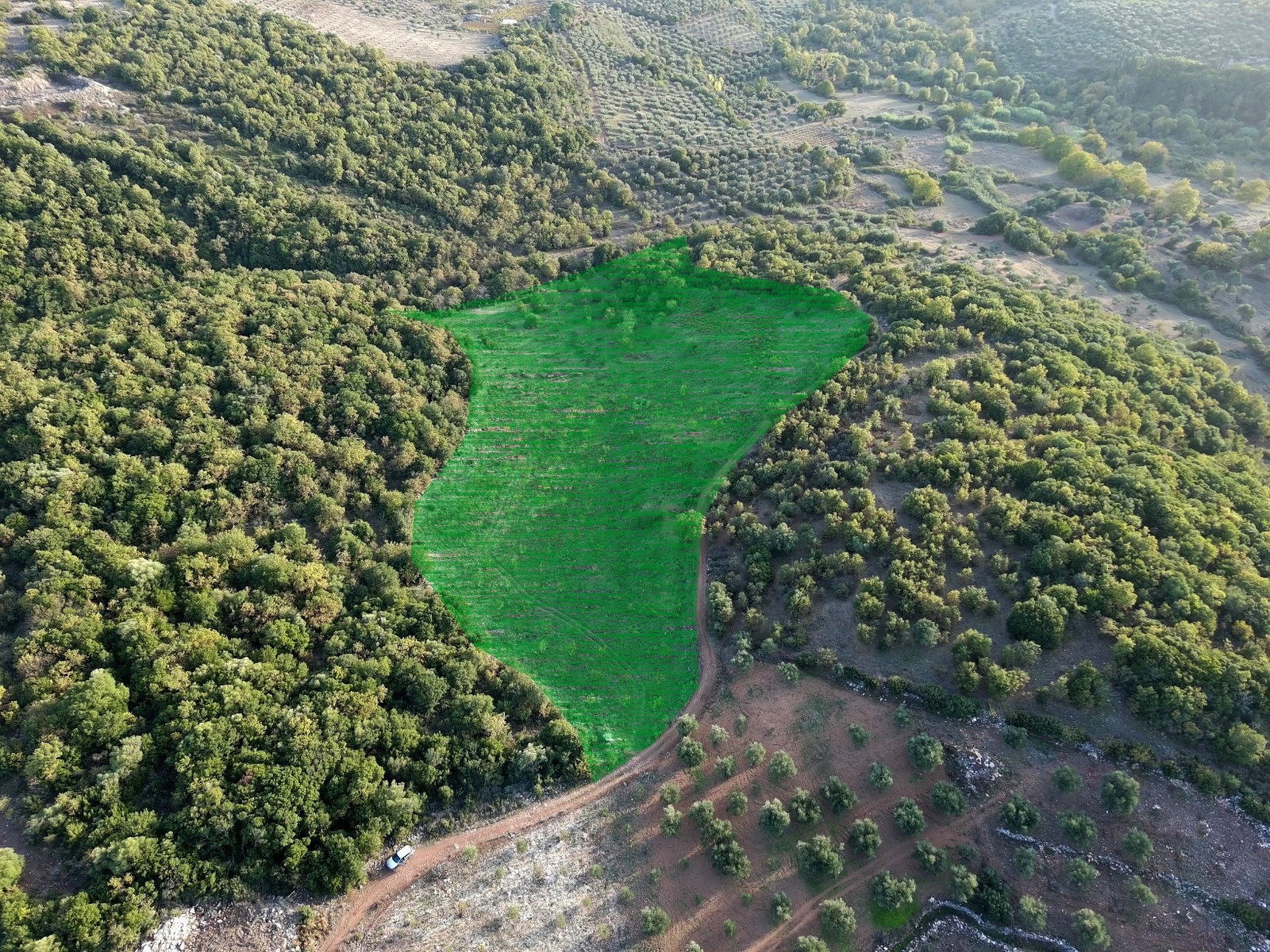marked-agricultural-land-walnut-trees-id1994977.jpg Parcel – 21500 m² – Choreftra – Aristomenis