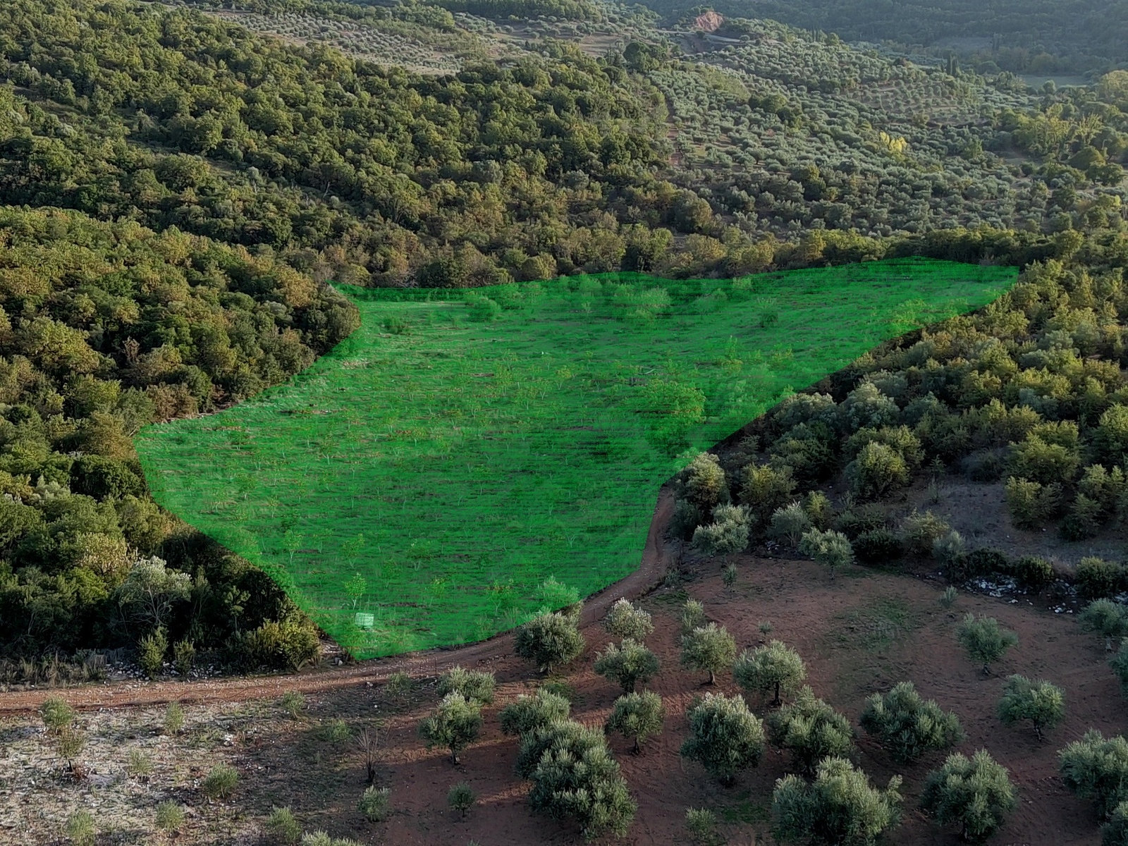 marked-agrotourism-investment-land-id637415.jpg Land Plot – 21500 m² – Choreftra – Aristomenis