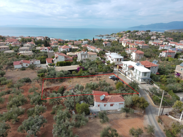 Οικόπεδο – 1000 τ.μ. – Στούπα – Λεύκτρος