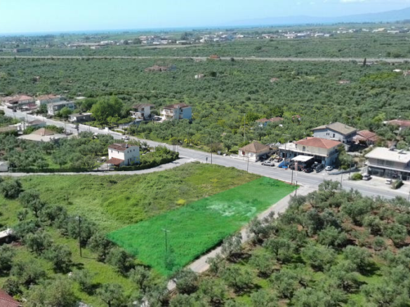 Land Plot – 1505 m² – Sperchogeia – Kalamata