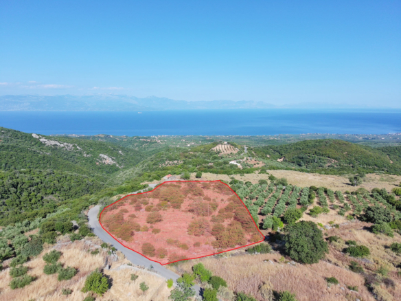 Οικόπεδο – 8021 τ.μ. – Αγνάντι – Πεταλίδι