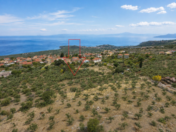 Οικόπεδο – 3040 τ.μ. – Νεοχώρι – Λεύκτρος