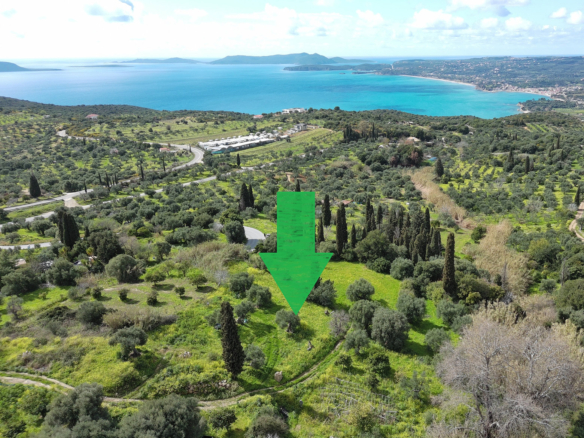 Οικόπεδο – 1550 τ.μ. – Ακριτοχώρι – Κορώνη