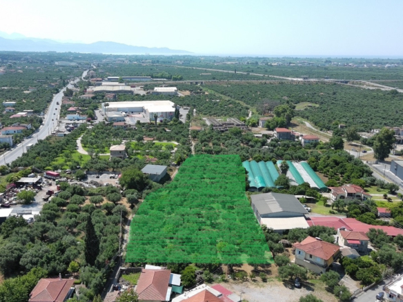 Οικόπεδο – 5556 τ.μ. – Κέντρο – Θουρία