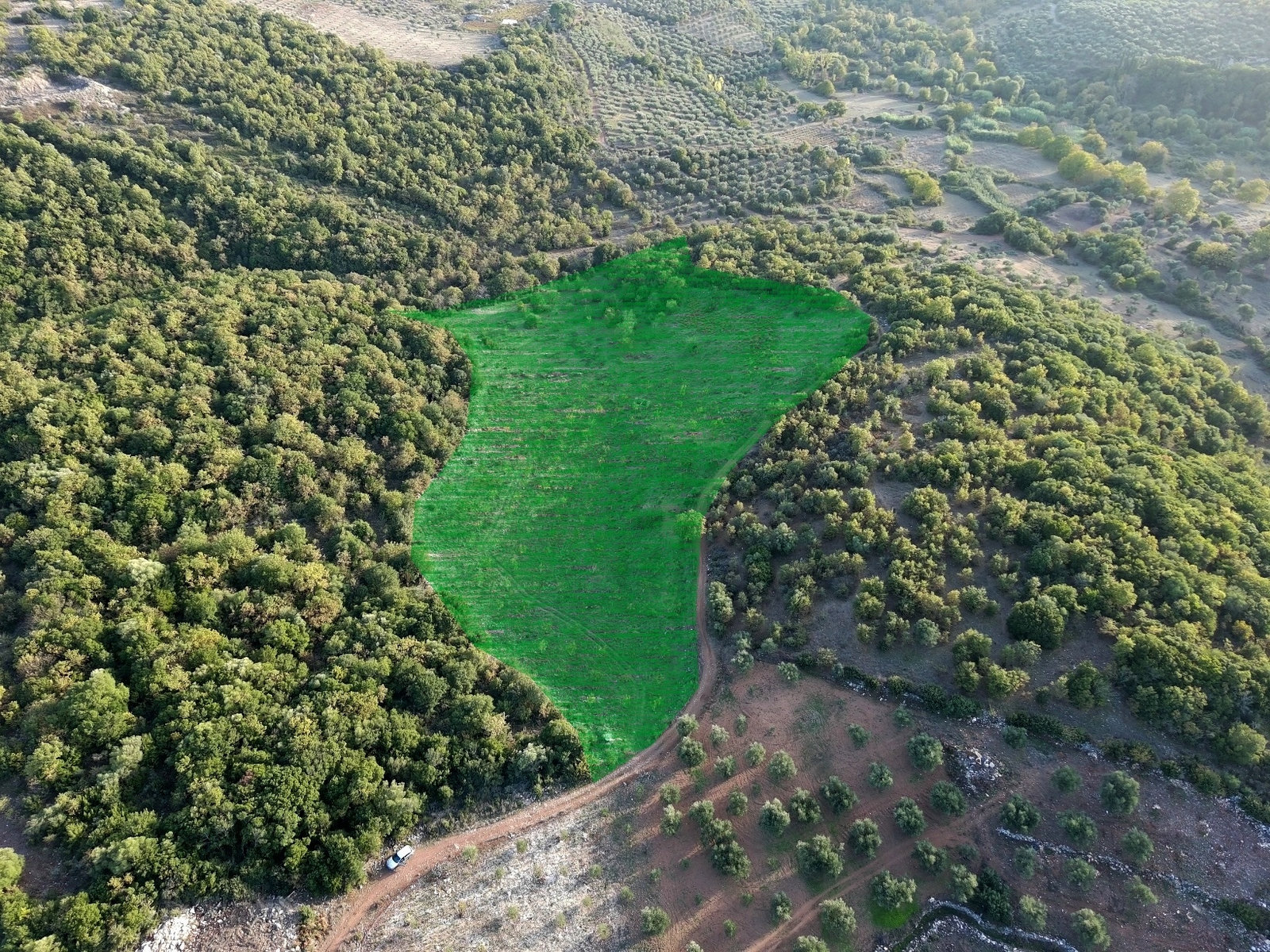 marked-walnut-orchard-plot-choreftra-id637415.jpg Land Plot – 21500 m² – Choreftra – Aristomenis