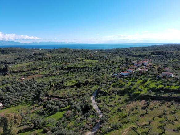 Οικόπεδο – 5963 τ.μ. – Άγιος Ισίδωρος – Κορώνη