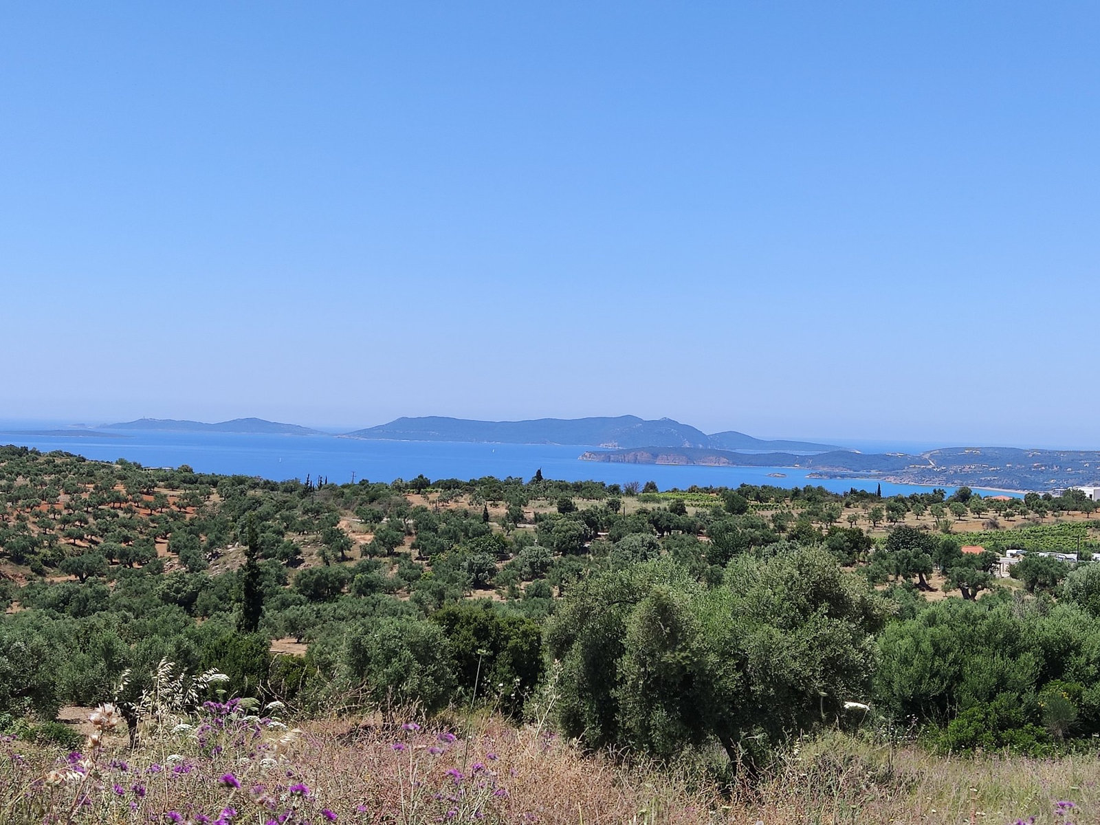 panoramic-sea-view-land-finikounda-id342032.jpg Πανόραμα θάλασσας και γης στη Φοινικούδα
