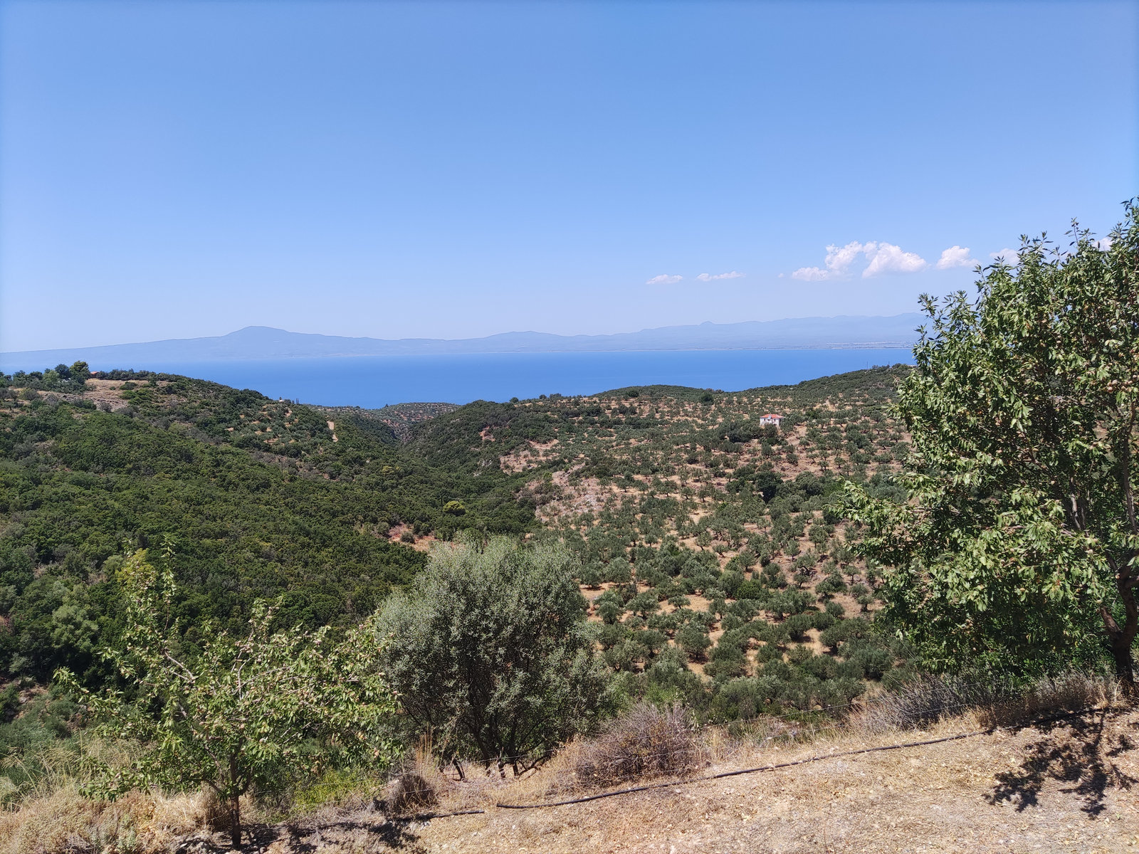 panoramic-sea-view-messinian-gulf-megali-mantineia-id199134.jpg Πανόραμα της θάλασσας στον Κόλπο του Μεσσηνιακού, Μηγάλη Μαντίνεια