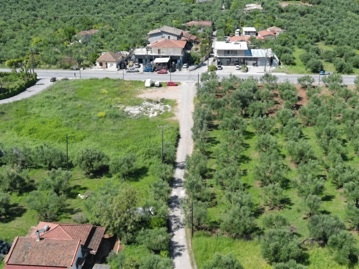 Land Plot – 1505 m² – Sperchogeia – Kalamata