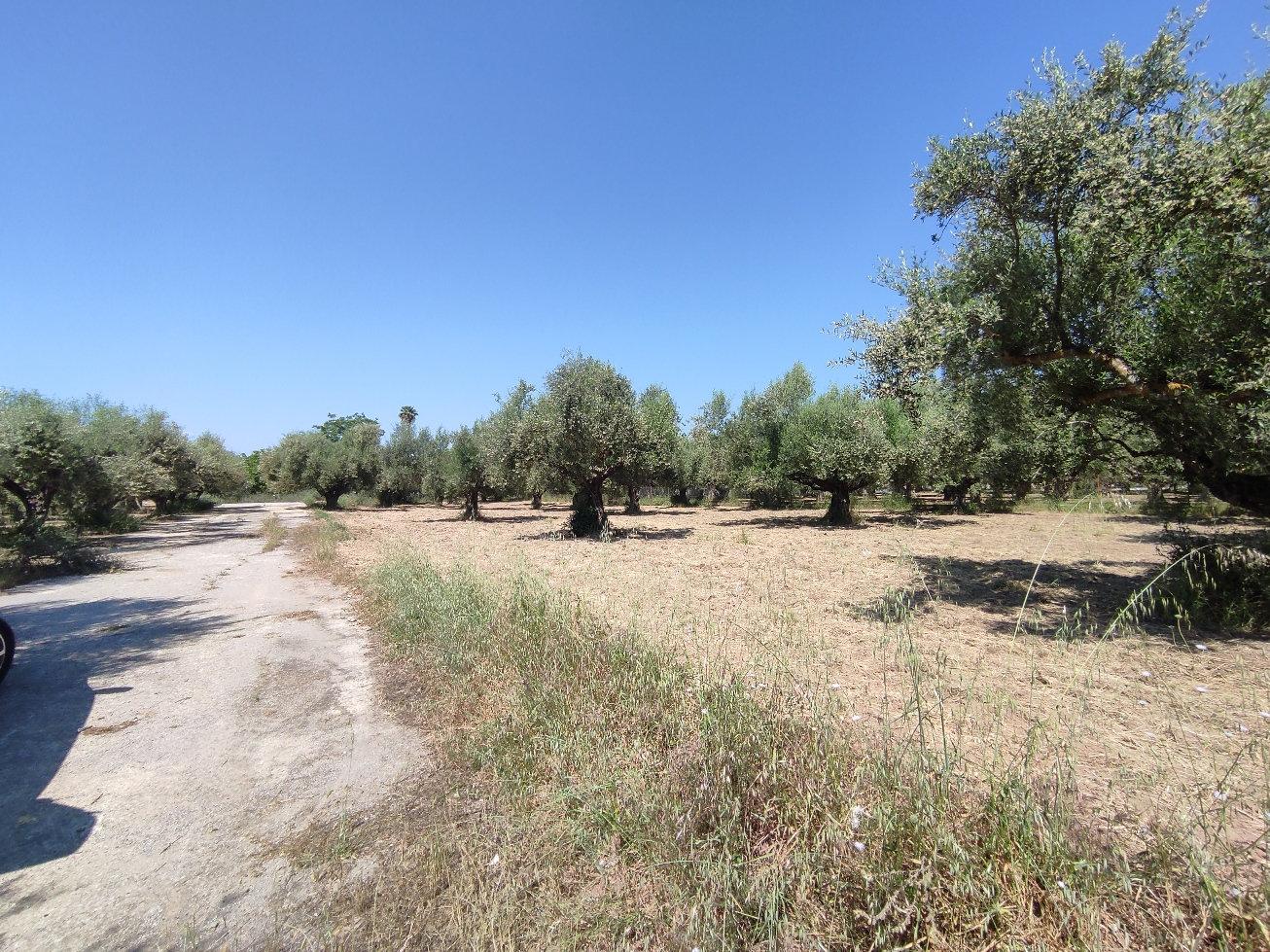 Land Plot – 500 m² – Antikalamos – Kalamata