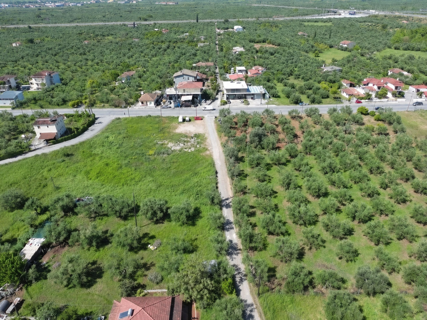 Land Plot – 1505 m² – Sperchogeia – Kalamata