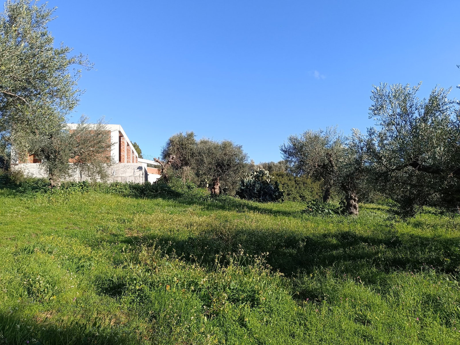 road-access-building-plot-lachanada-id935376.jpg Οδική πρόσβαση σε οικόπεδο οικοδομής στη Λαχανάδα