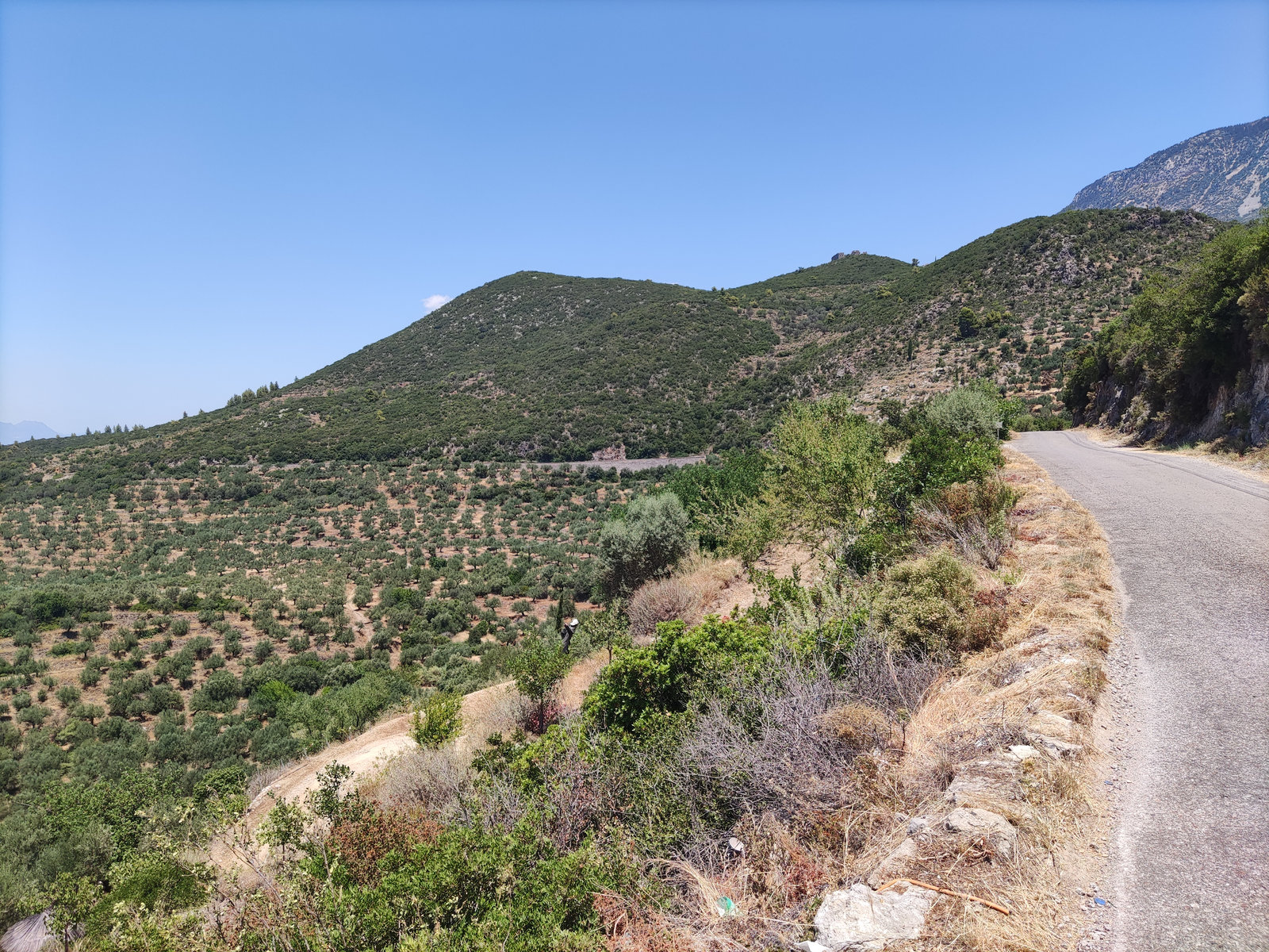 road-access-landscape-megali-mantineia-avia-id199134.jpg Προβολή πρόσβασης δρόμου στη Μεγάλη Μαντίνεια, Αβία