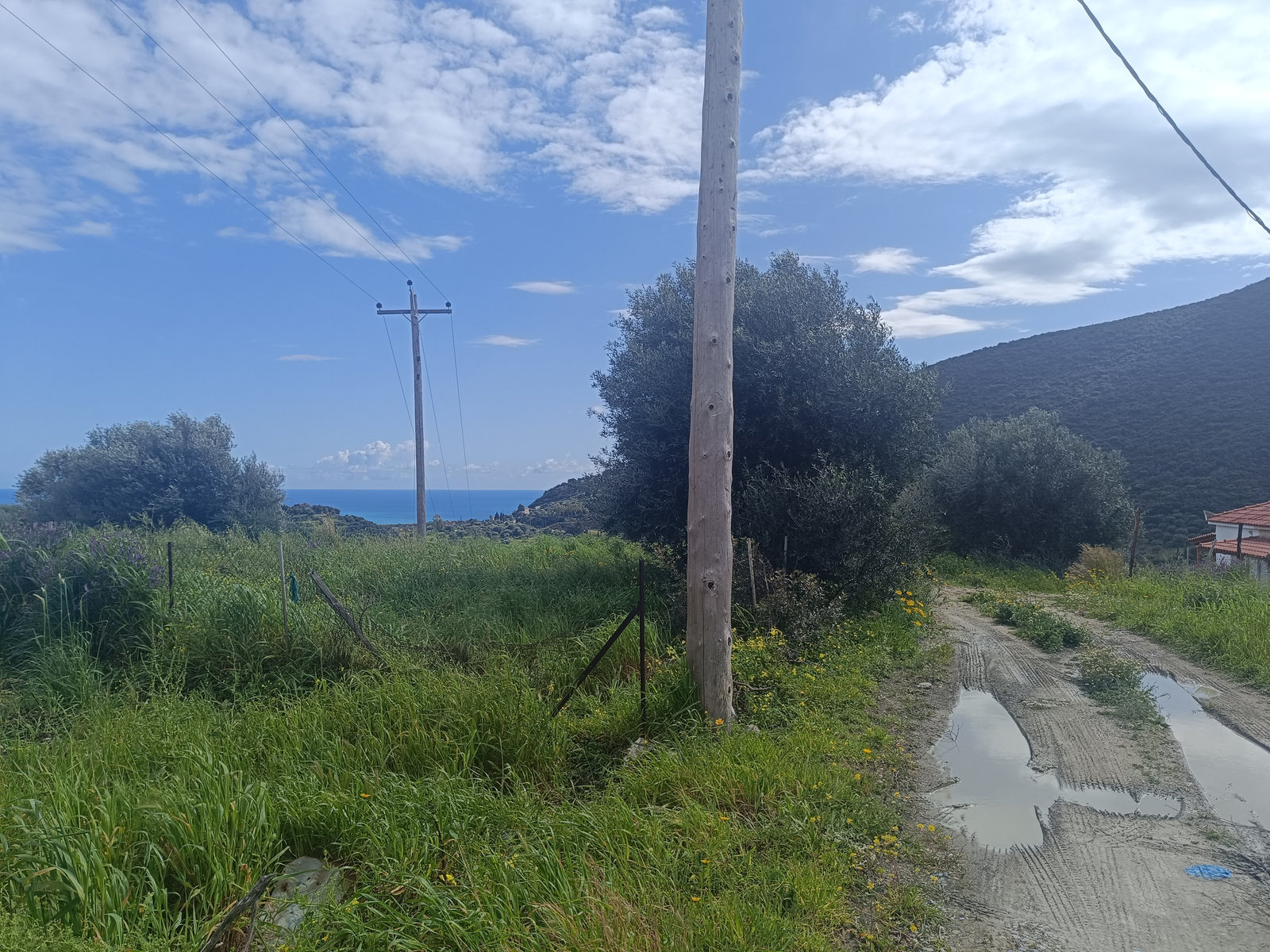 road-access-utility-poles-plot-vasilitsi-koroni-id2344049.jpg Οικόπεδο στη Βασιλίτση, Κόρωνη με πρόσβαση δρόμου και γραμμές κοιν…