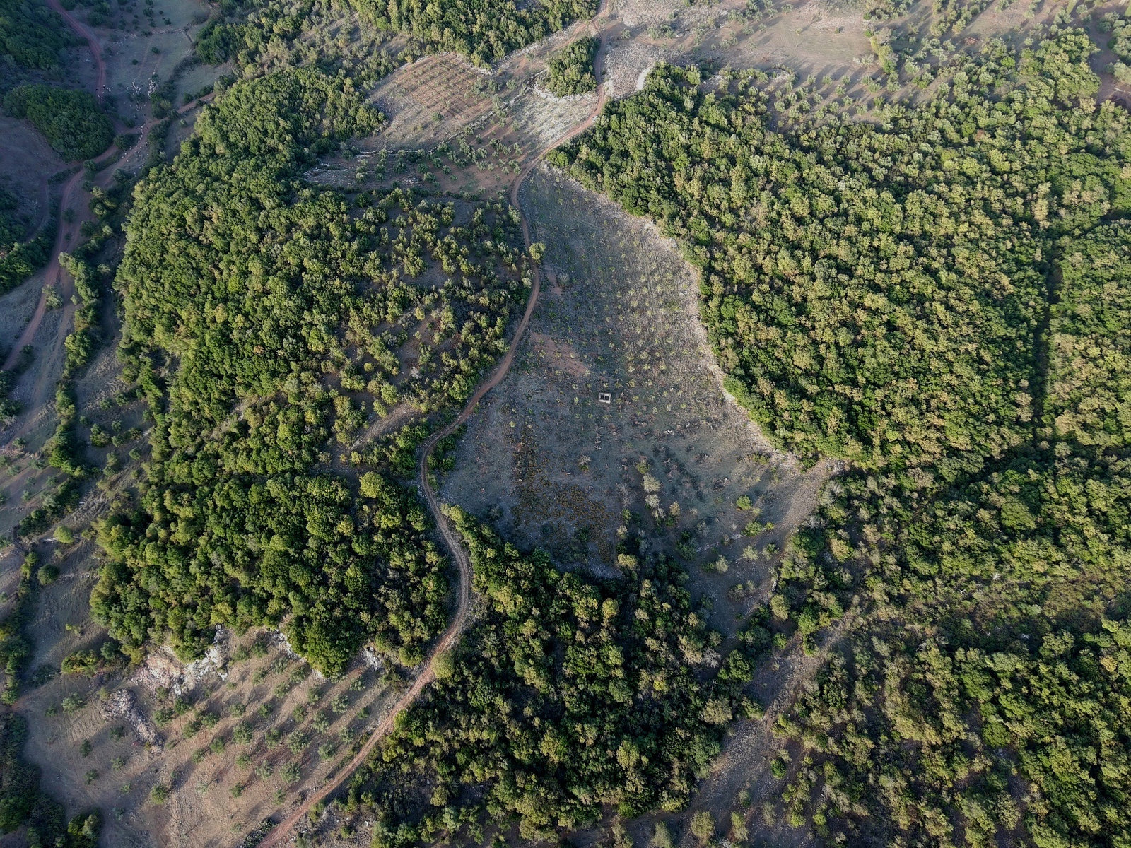 rural-farmland-olive-groves-aristomenis-id1994977.jpg Parcel – 21500 m² – Choreftra – Aristomenis