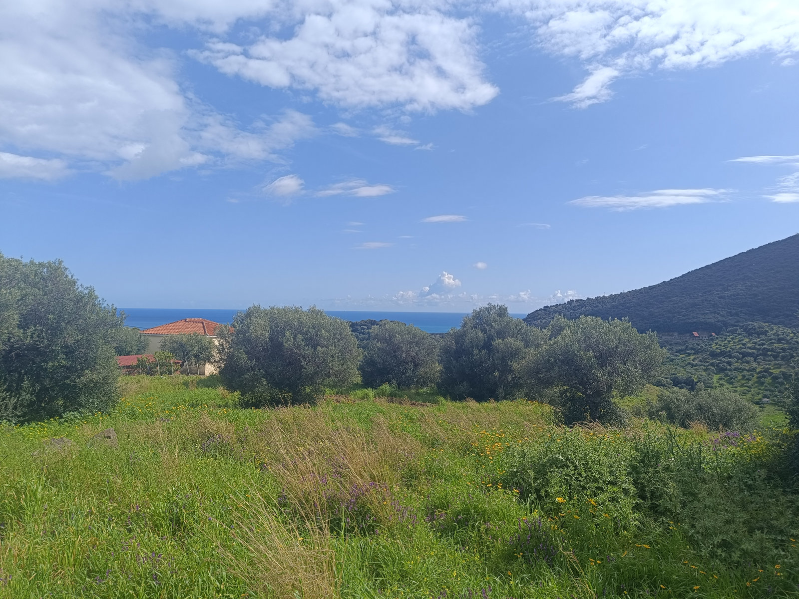 sea-view-building-plot-vasilitsi-koroni-id2344049.jpg Οικόπεδο – 1973 τ.μ. – Βασιλίτσι – Κορώνη
