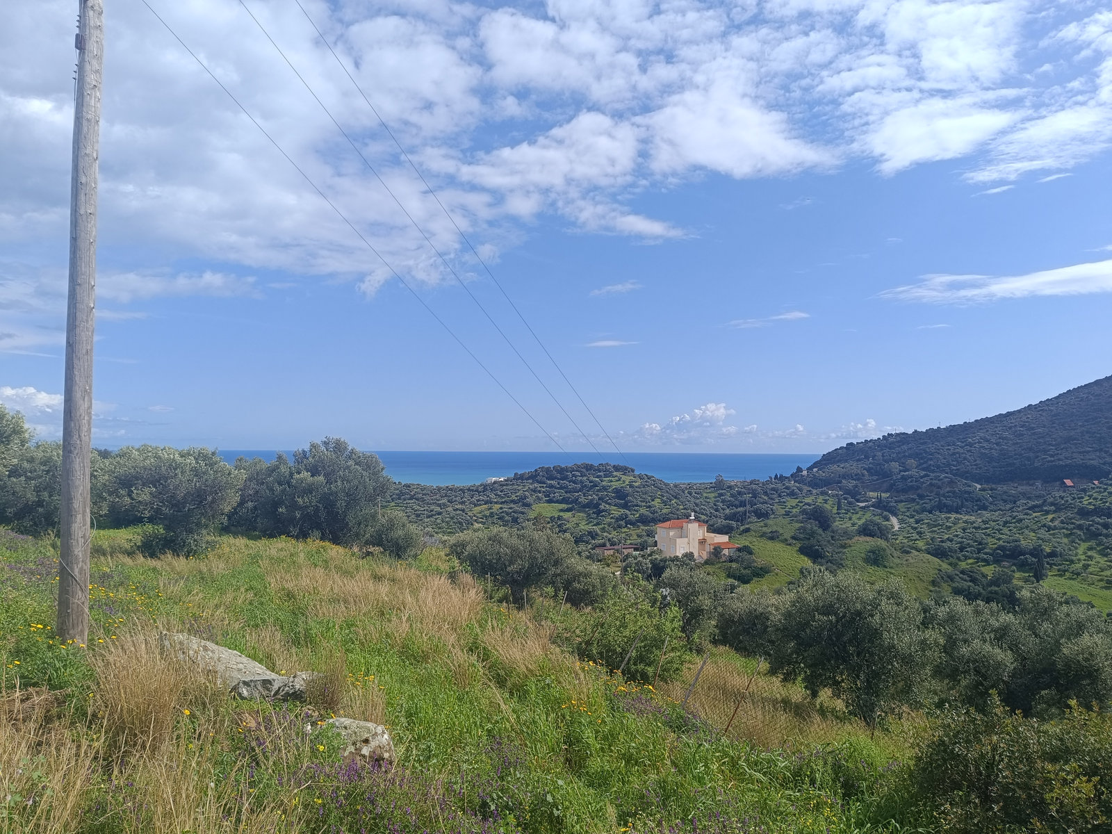 sloped-investment-plot-sea-horizon-vasilitsi-id2344049.jpg Οικόπεδο – 1973 τ.μ. – Βασιλίτσι – Κορώνη