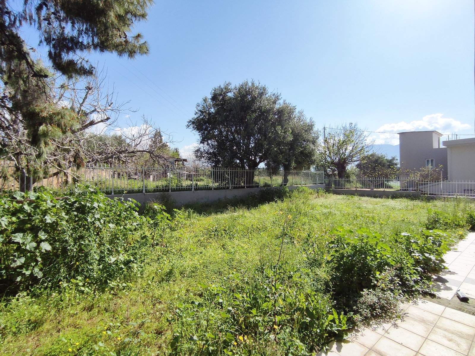 spacious-garden-akovitika-apartment-id1717261.jpg Διαμέρισμα με ευρύ κήπο στην περιοχή Ακοβίτικα