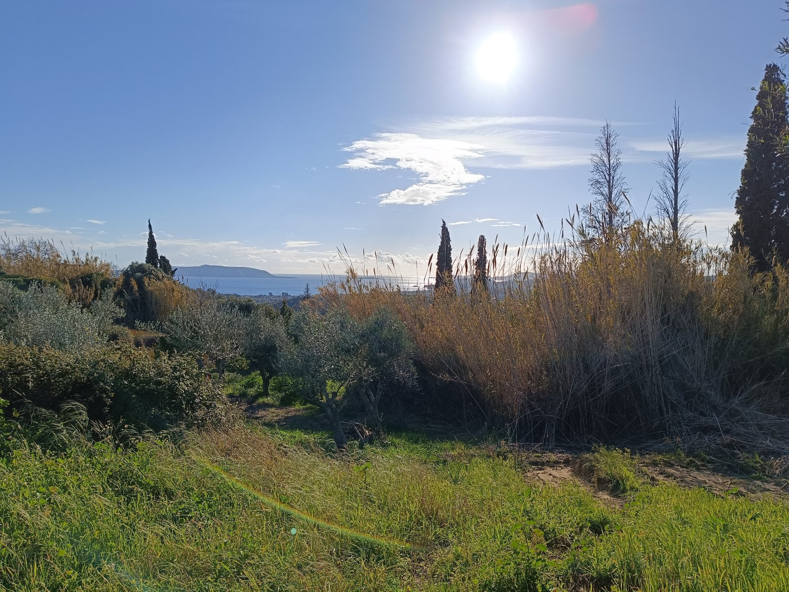 surrounding-landscape-plot-lachanada-methoni-id935376.jpg Τοπία γύρω από οικόπεδο 865 m² στη Λαχανάδα, Μεθώνη